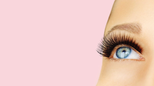 Brows & lashes